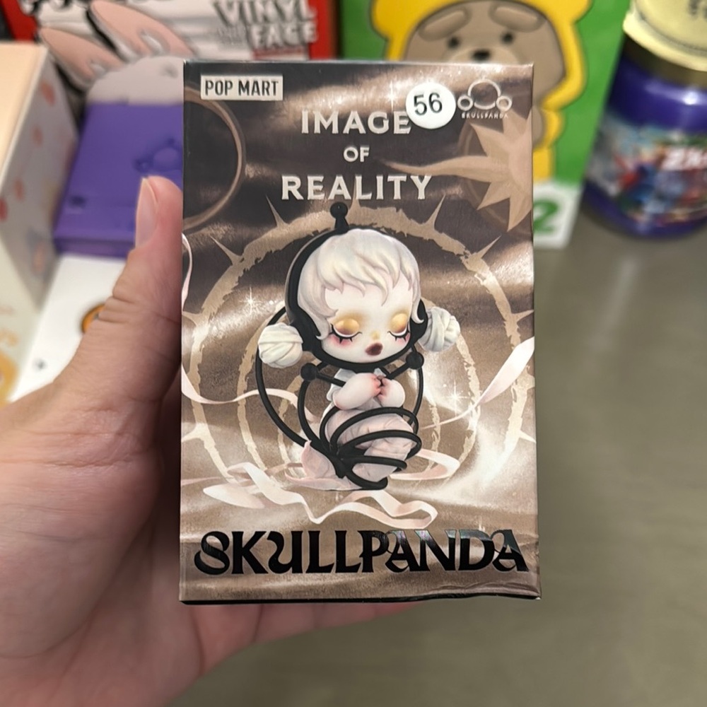 Skullpanda Image of Reality BLIND BOX SEALED